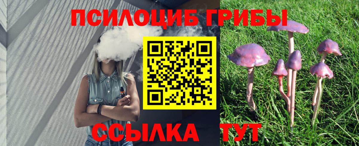 Галлюциногенные грибы Cubensis Лобня