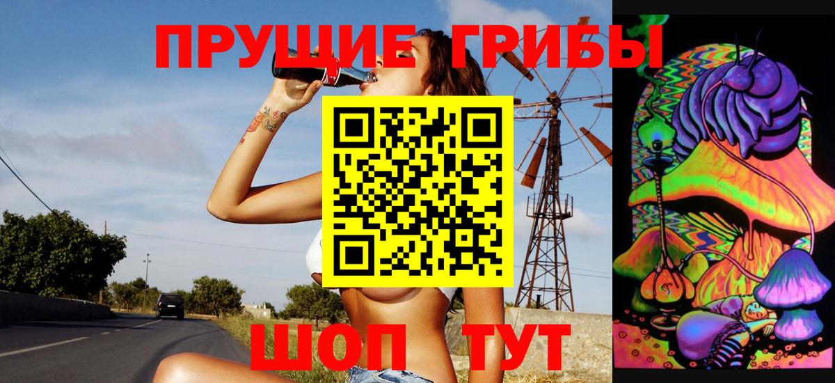 Галлюциногенные грибы Psilocybine cubensis  Вход с VPN  Лобня 